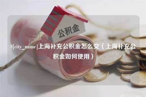 宁德上海补充公积金怎么交（上海补充公积金如何使用）